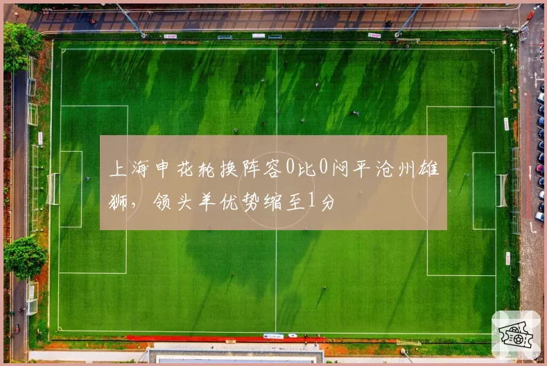 上海申花轮换阵容0比0闷平沧州雄狮，领头羊优势缩至1分