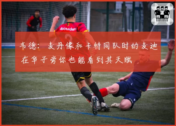 韦德：麦丹像和卡特同队时的麦迪 在华子旁你也能看到其天赋